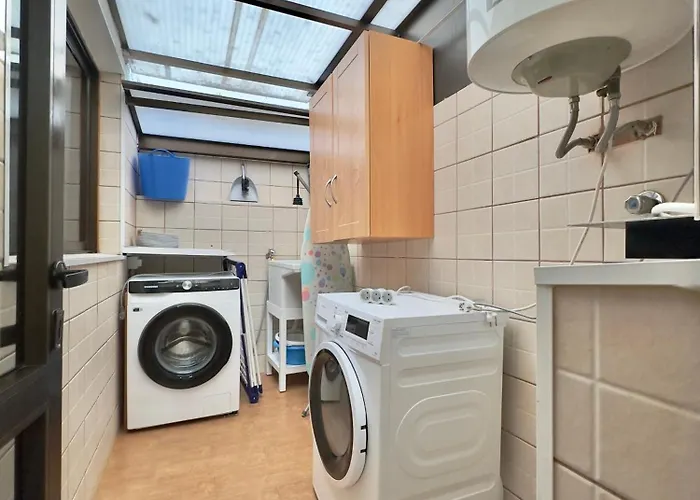 Viva La Vida Лос-Реалехос